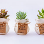 lembrança dia da mulher