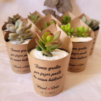 Lembrancinha com Suculenta