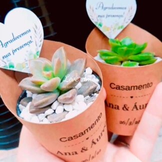 lembranças com suculentas