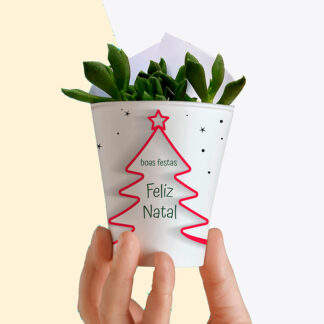 lembrança-de-natal-com-suculenta
