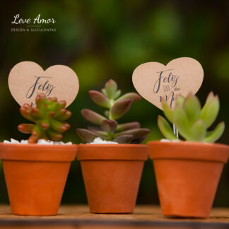 Lembrança com Suculenta e TAG | Vaso de Barro Amadinho