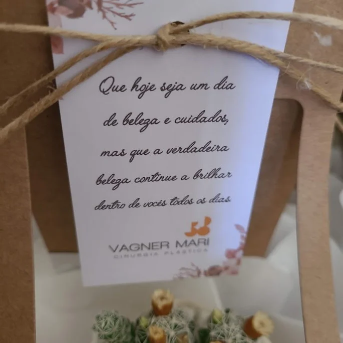 Sacola Personalizada Suculenta ou Cacto Queridinho G - Imagem 6
