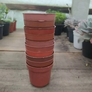 vasos-usados-pote-6