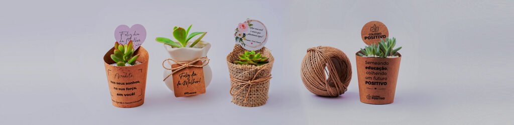 lembranca-suculenta-cacto-personalizada-leveamorsuculentas