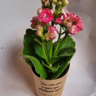 Lembrancinhas Personalizadas com Mini Kalanchoes