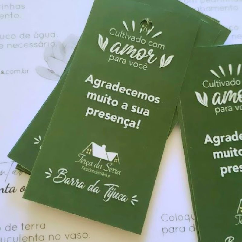 Sacola Personalizada Suculenta ou Cacto Queridinho G - Imagem 8