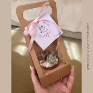 suculenta empresa logo