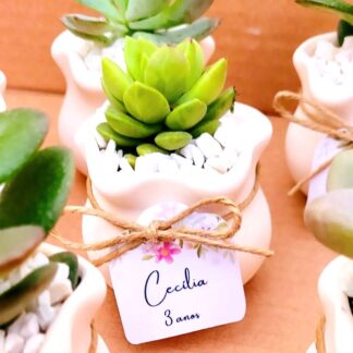 Lembrança Suculenta com TAG | Queridinho P - Fio Sisal