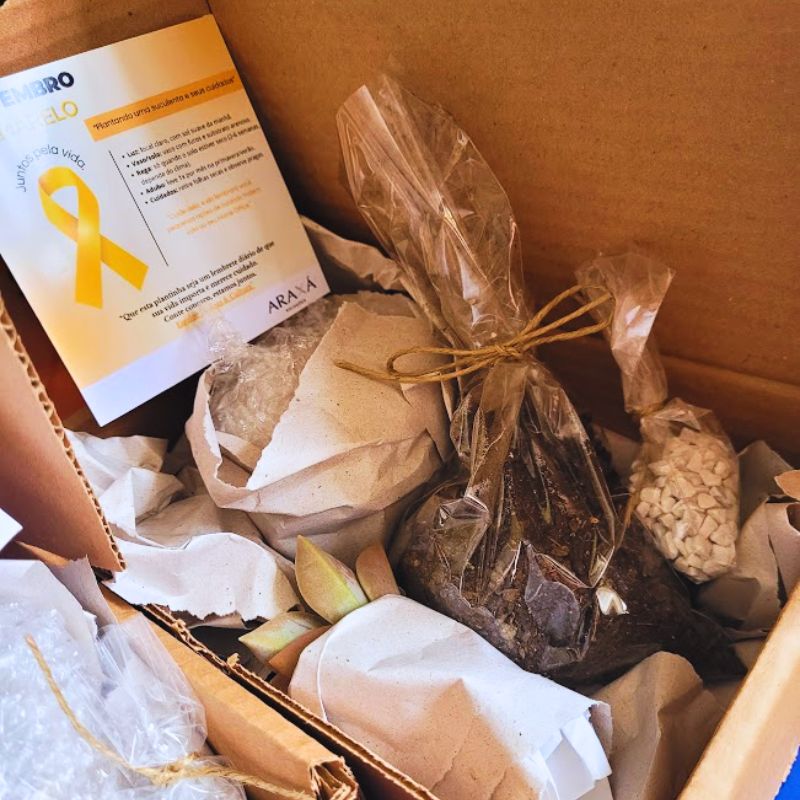 BRINDE CORPORATIVO NA CAIXA - MONTE SUA SUCULENTA