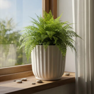 Vaso Cachepot Cerâmica Decorativo Canelado