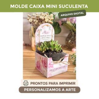MOLDE CAIXA SUCULENTA
