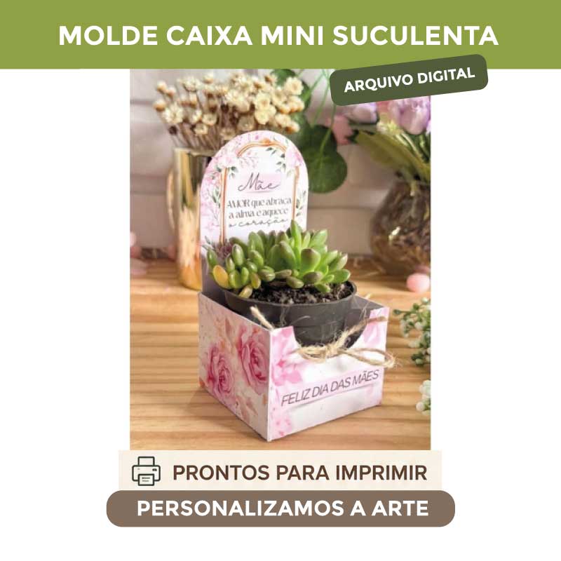 MOLDE CAIXA SUCULENTA