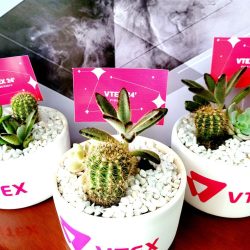 lembranca-mix-suculentas-corporativo