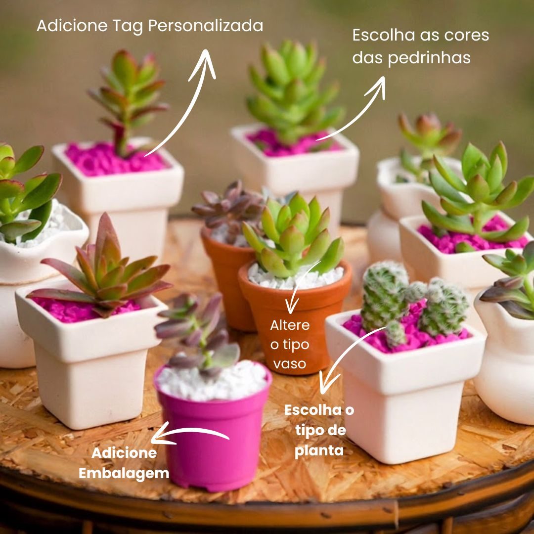 Escolha as cores das pedrinhas