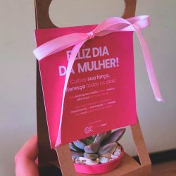 brinde-corporativo-suculenta (2)