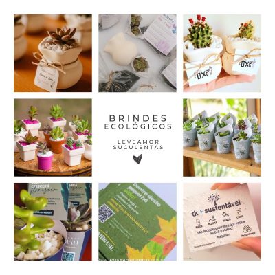 detalhes para o melhor dia (2)