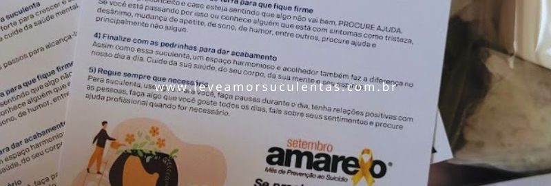 card-kit-monte-sua-suculenta