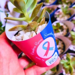 lembranca-suculenta-novembro-azul-outubro-rosa