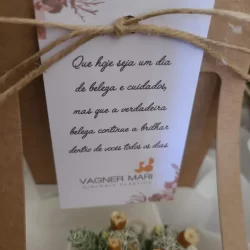 sacola-queridinho-g-com-suculenta-ou-cacto-vaso