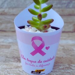 suculenta mulher rosa